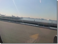 okinawa_Jal2019110604