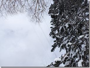 PXL_20240224_034957714.MP