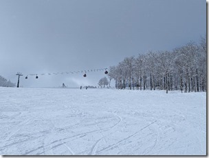 PXL_20240223_022140310.MP