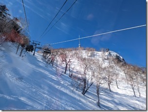 PXL_20230319_002029774